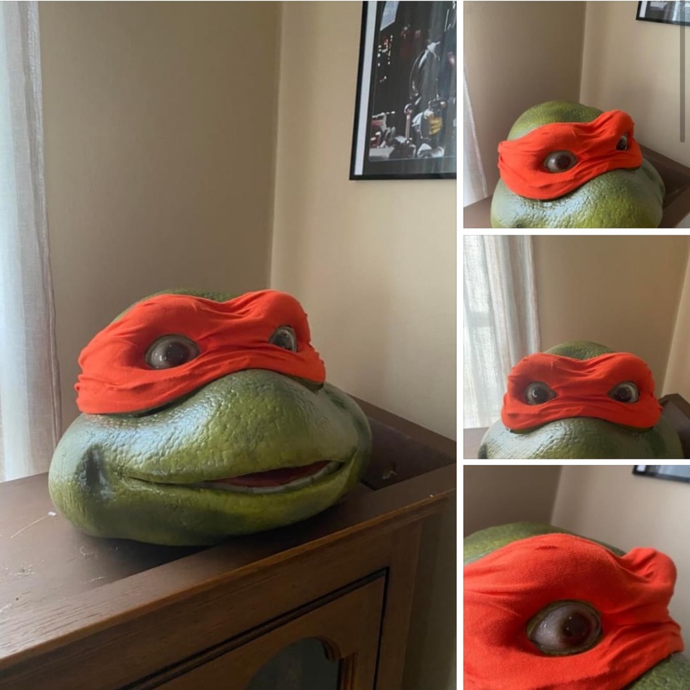 TMNT HEAD